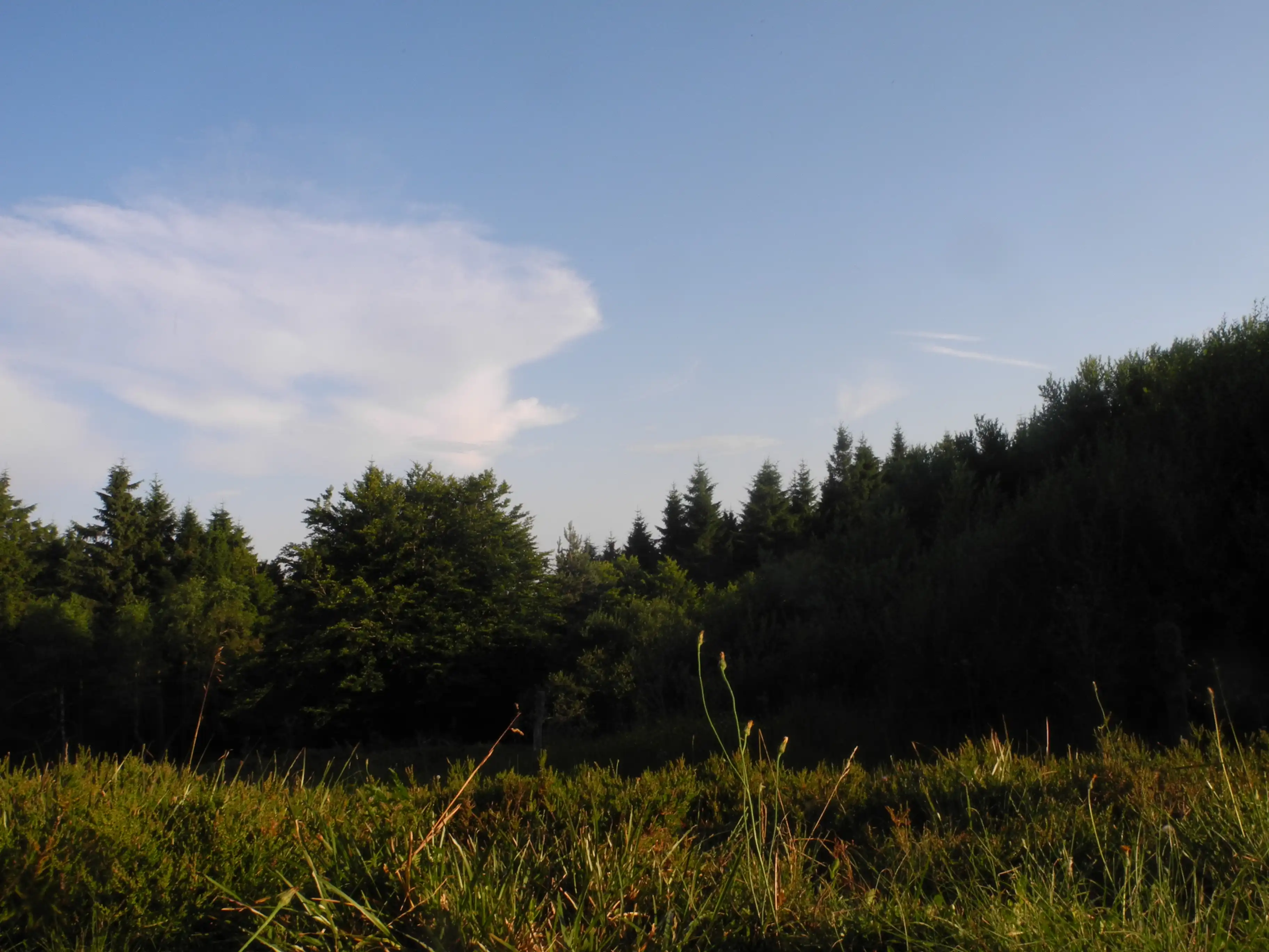 Photo de paysage